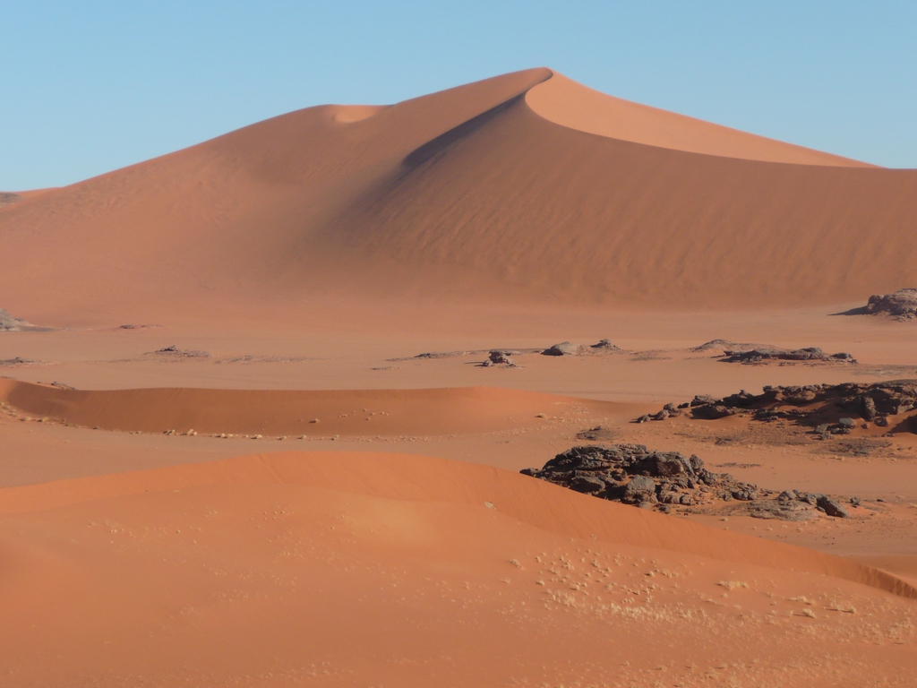 Voyage dans le Sahara algérien : hautes dunes ocres ciselées
