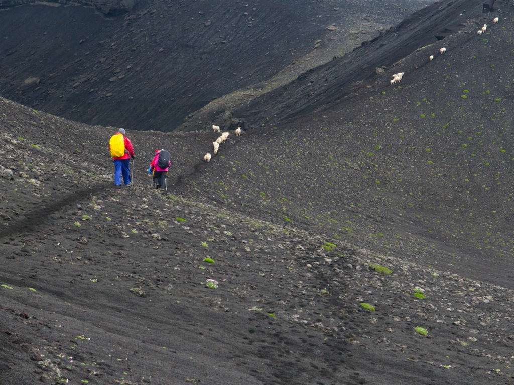éruptions volcaniques en Islande : champs de lave du Laki