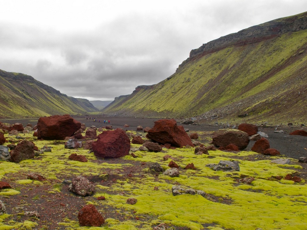 Paysages islandais : mousse "fluorescente" (pohlia wahlengergii) dans le Landmmannalaugar