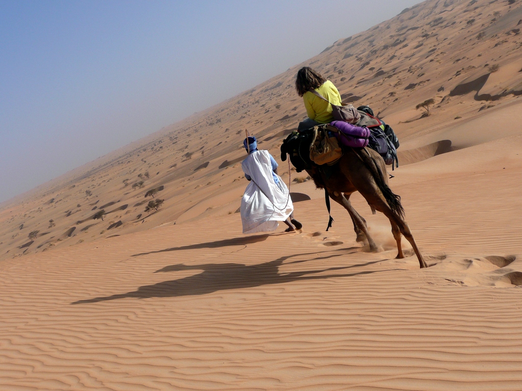 Voyage dans le désert en Mauritanie : randonner dans l'immensité des dunes