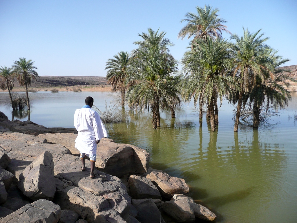 Proverbes maures et contes de Mauritanie révélateurs des environnements géographiques