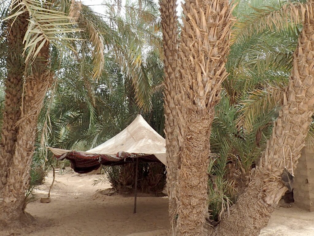 Traditions en Mauritanie : petite khaïma blanche ouverte dans une oasis en Mauritanie