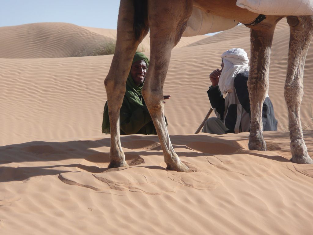 Rythmes du Sahara : une rencontre dans le désert tunisien avec un nomade Chaabane