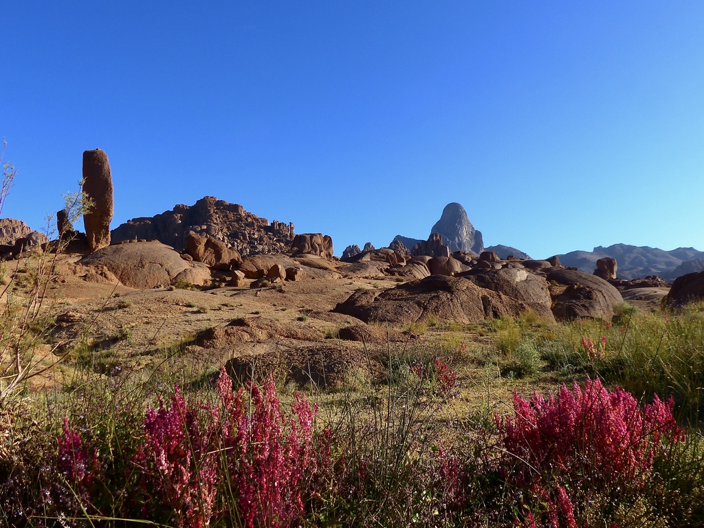 Parc naturel de l’Ahaggar